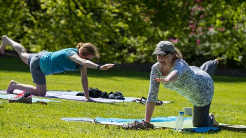 Women practising Yoga on the grass with bushes behind them.